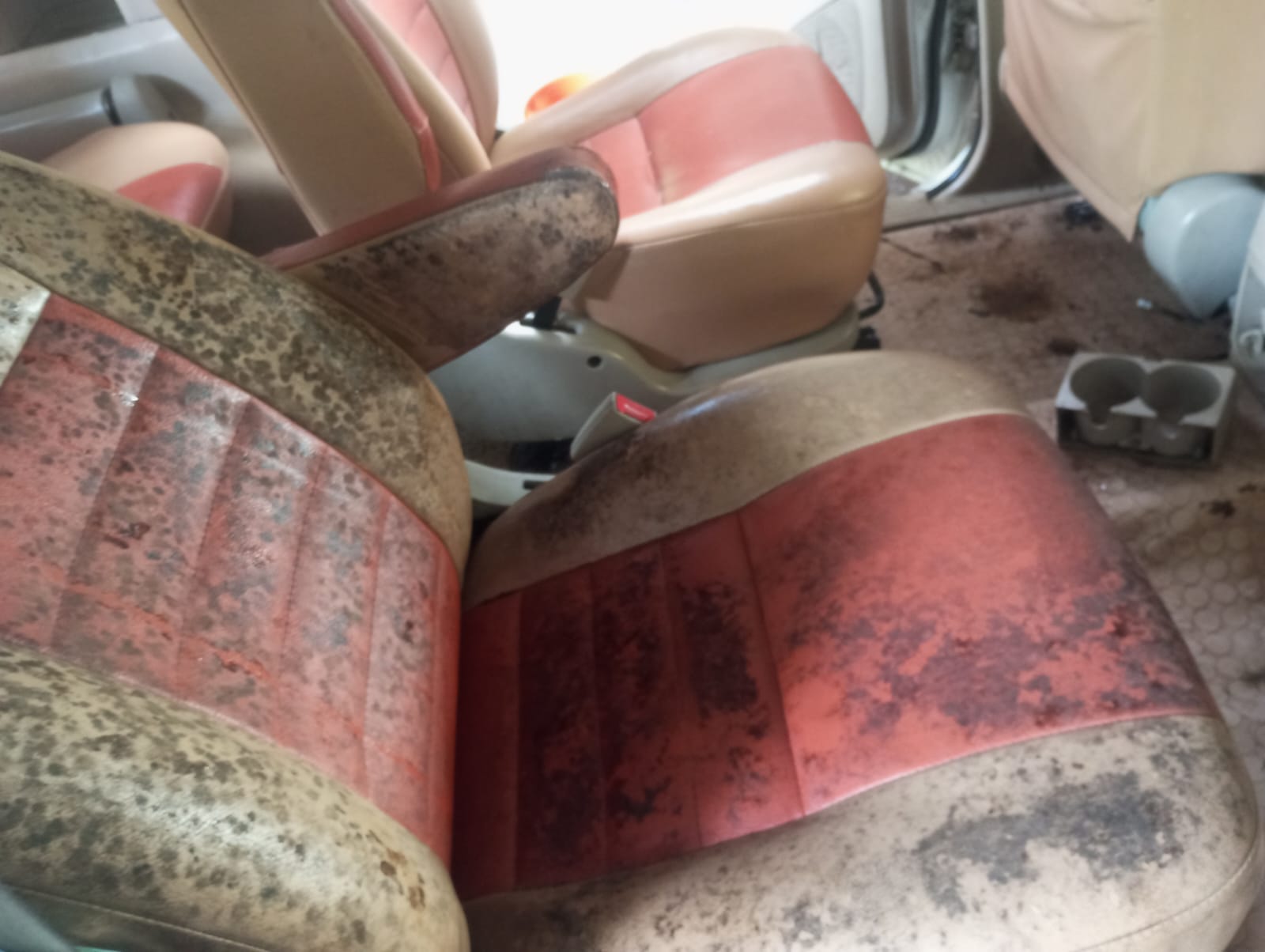 Sofa before Shampoo Wash cleaning