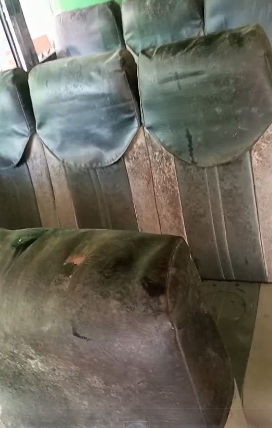 Carpet before   cleaning
